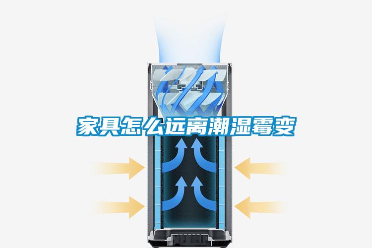 家具怎么遠離潮濕霉變