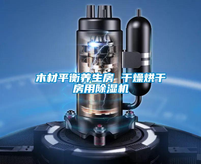 木材平衡養(yǎng)生房 干燥烘干房用除濕機