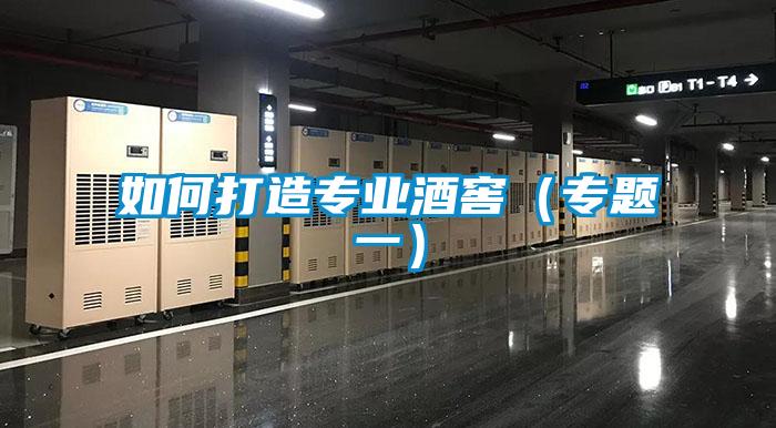 如何打造專業酒窖(專題一)