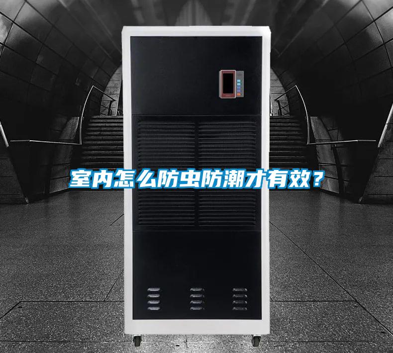 室內怎么防蟲防潮才有效？