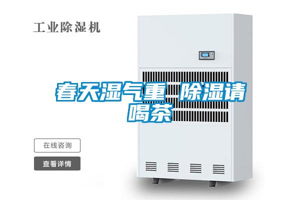 春天濕氣重 除濕請喝茶