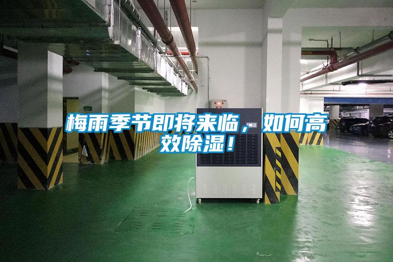 梅雨季節即將來臨，如何高效除濕！