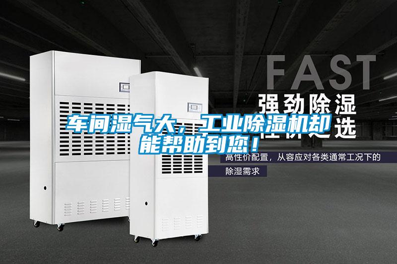 車間濕氣大,工業除濕機卻能幫助到您!