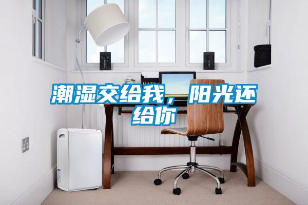 潮濕交給我，陽光還給你