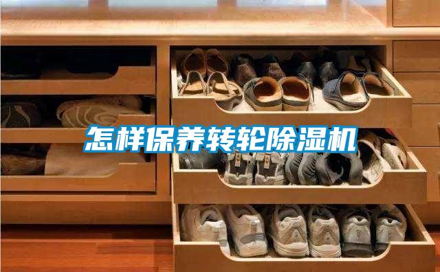 怎樣保養(yǎng)轉輪除濕機