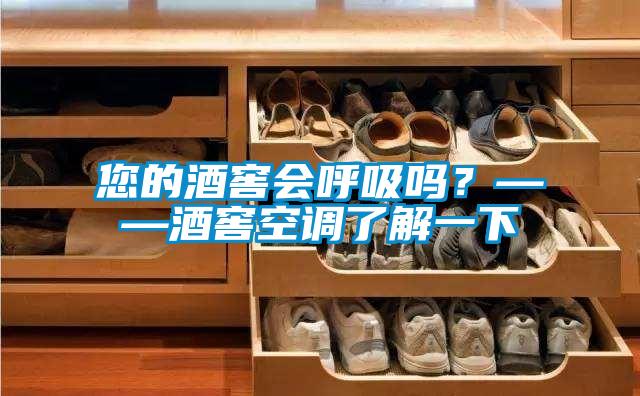 您的酒窖會呼吸嗎?——酒窖空調了解一下