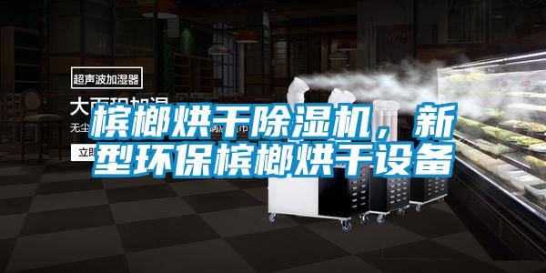 檳榔烘干除濕機,新型環(huán)保檳榔烘干設備