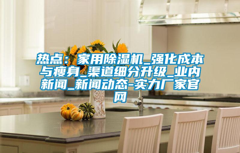 熱點:家用除濕機_強化成本與瘦身_渠道細(xì)分升級_業(yè)內(nèi)新聞_新聞動態(tài)-實力廠家官網(wǎng)