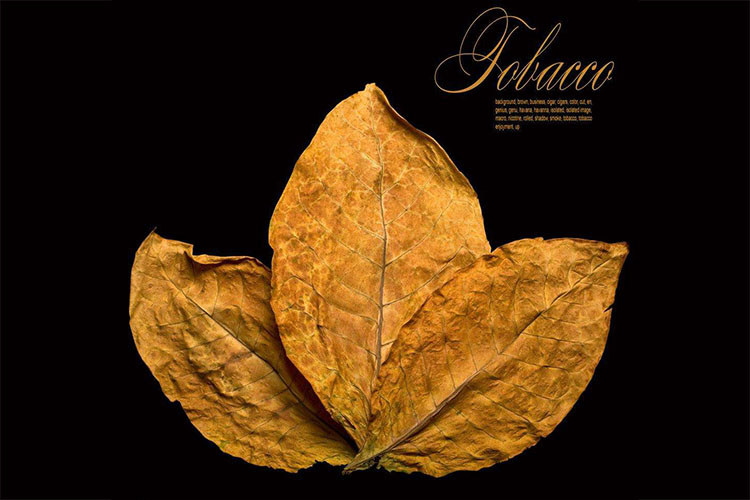 煙草煙葉除濕烘干技術(shù)參數(shù) 煙草煙葉除濕烘干技術(shù)參數(shù)