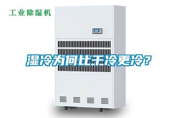濕冷為何比干冷更冷?