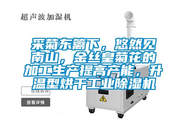 采菊東籬下,悠然見南山,金絲皇菊花的加工生產提高產能,升溫型烘干工業除濕機