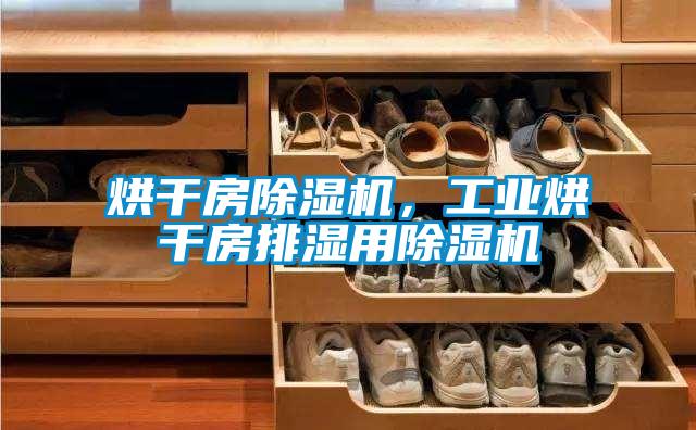 烘干房除濕機(jī),工業(yè)烘干房排濕用除濕機(jī)
