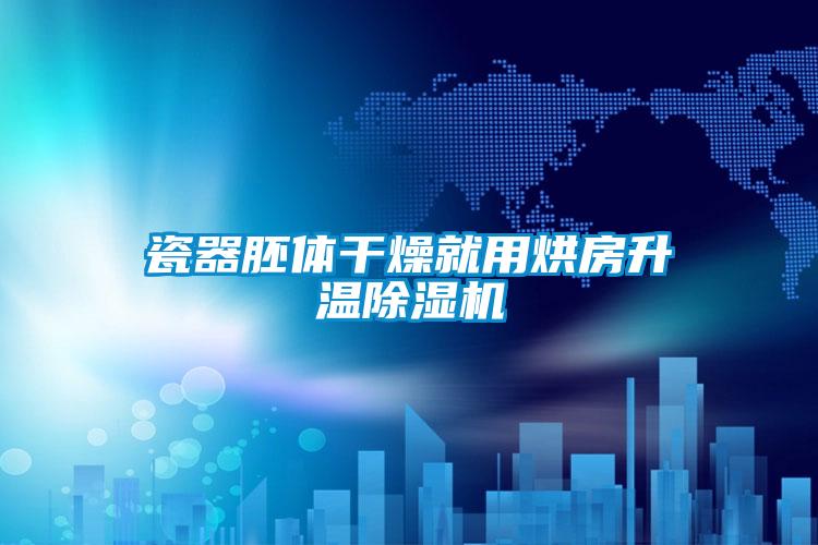 瓷器胚體干燥就用烘房升溫除濕機