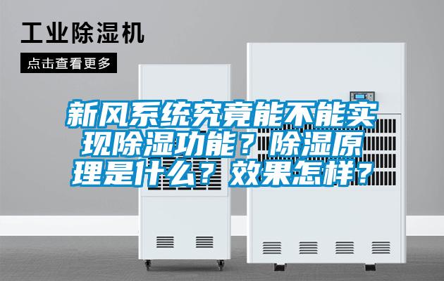 新風系統究竟能不能實現除濕功能？除濕原理是什么？效果怎樣？