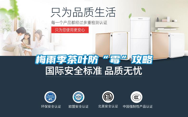 梅雨季茶葉防“霉”攻略