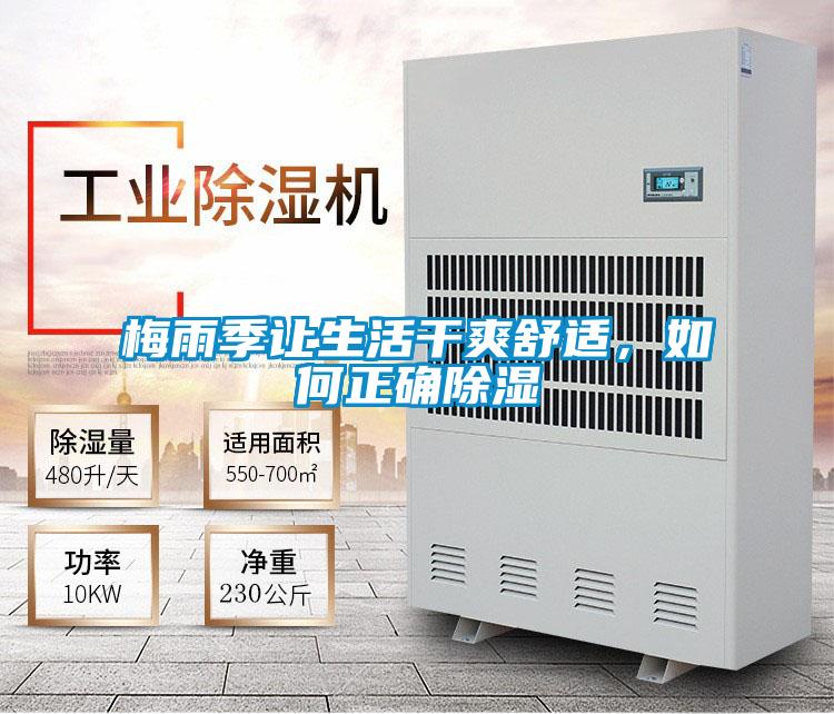 梅雨季讓生活干爽舒適,如何正確除濕