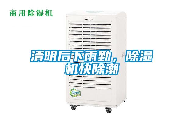 清明后下雨勤，除濕機(jī)快除潮