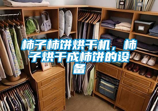 柿子柿餅烘干機(jī),柿子烘干成柿餅的設(shè)備