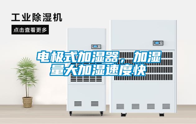 電極式加濕器，加濕量大加濕速度快