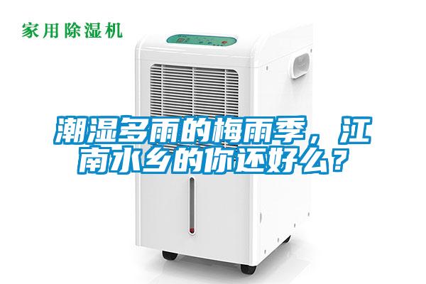 潮濕多雨的梅雨季,江南水鄉的你還好么?