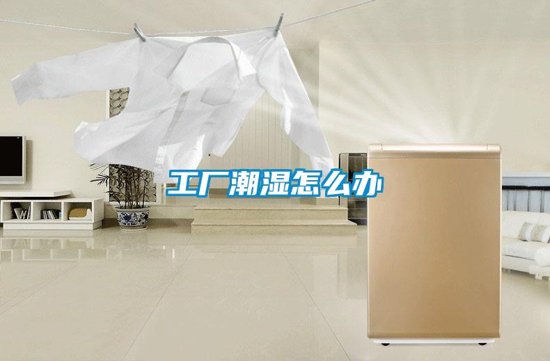 工廠潮濕怎么辦