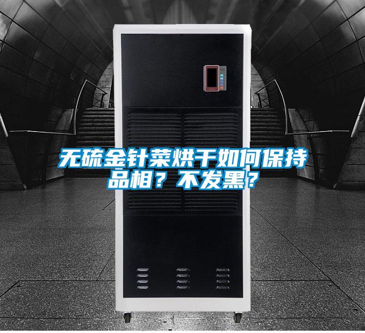 無硫金針菜烘干如何保持品相？不發黑？