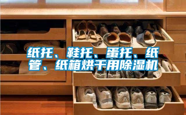 紙托、鞋托、蛋托、紙管、紙箱烘干用除濕機