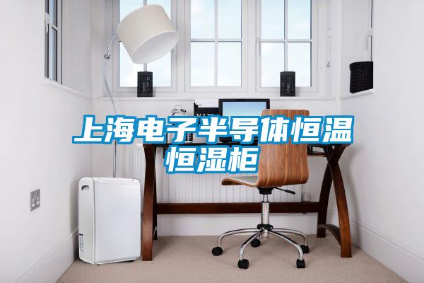 上海電子半導體恒溫恒濕柜
