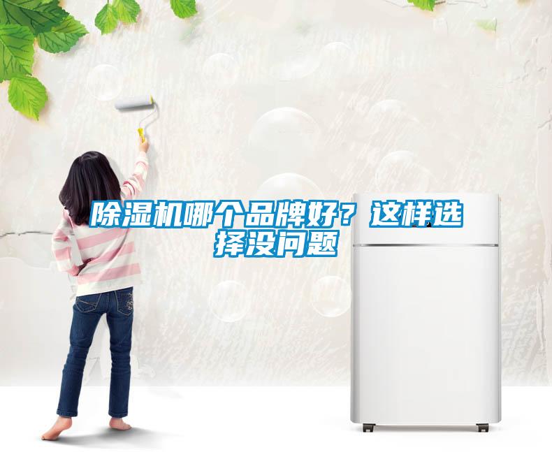 除濕機哪個品牌好？這樣選擇沒問題