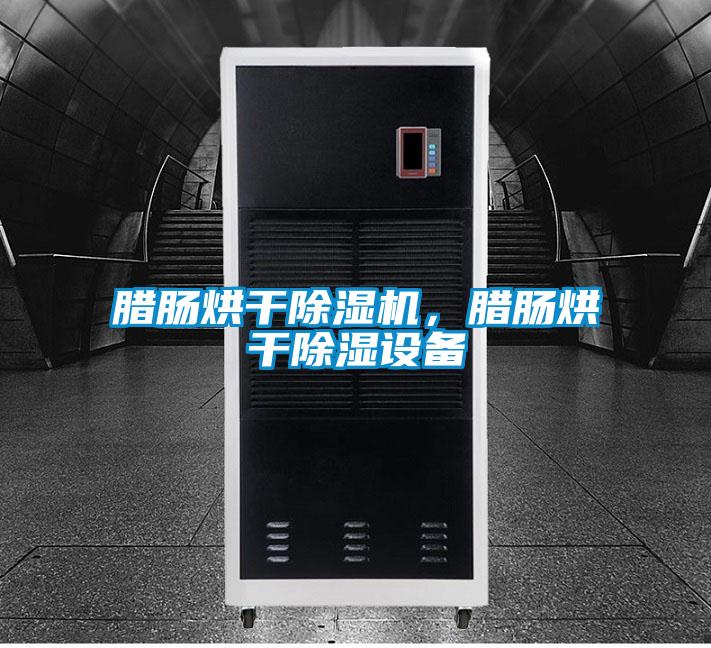 臘腸烘干除濕機，臘腸烘干除濕設(shè)備