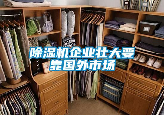 除濕機企業壯大要靠國外市場