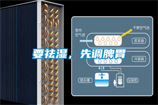 要祛濕,先調脾胃