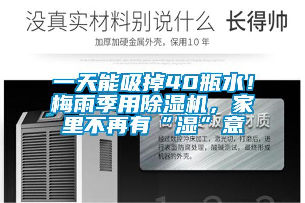 一天能吸掉40瓶水!梅雨季用除濕機,家里不再有“濕”意