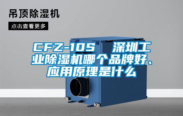 CFZ-10S  深圳工業除濕機哪個品牌好、應用原理是什么