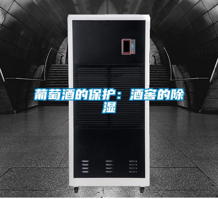 葡萄酒的保護(hù):酒窖的除濕