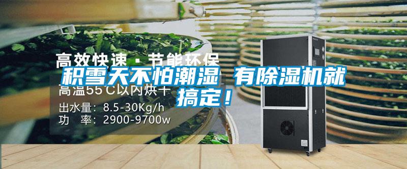 積雪天不怕潮濕 有除濕機(jī)就搞定!