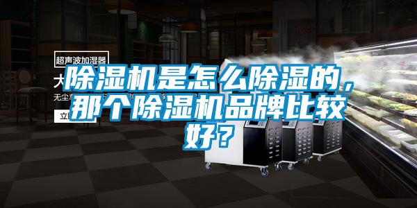 除濕機是怎么除濕的，那個除濕機品牌比較好？