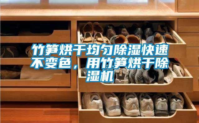 竹筍烘干均勻除濕快速不變色，用竹筍烘干除濕機(jī)