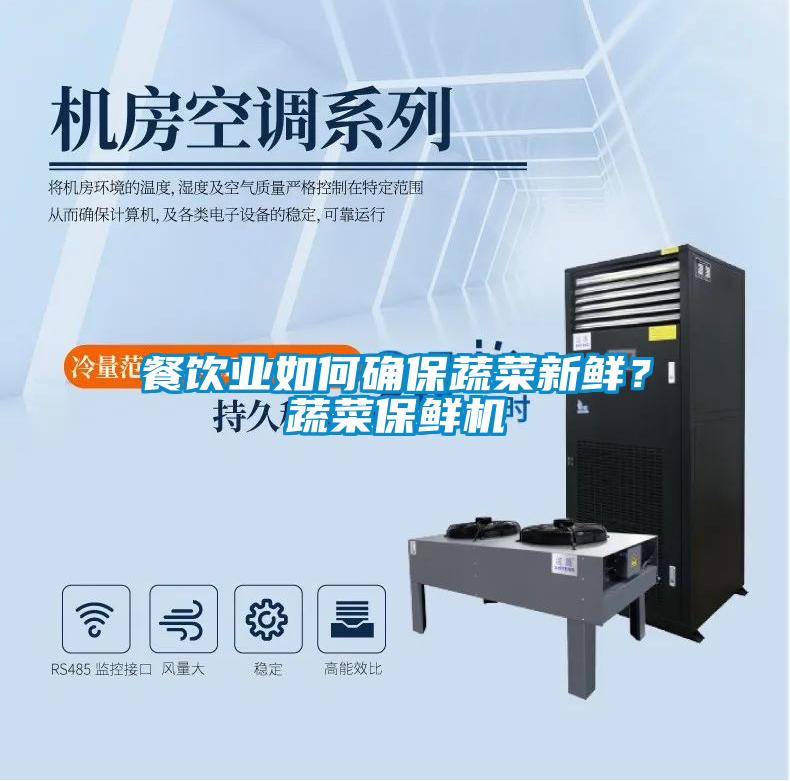 餐飲業如何確保蔬菜新鮮？蔬菜保鮮機