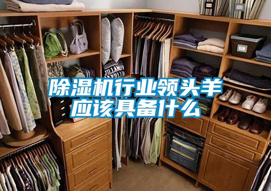 除濕機(jī)行業(yè)領(lǐng)頭羊應(yīng)該具備什么