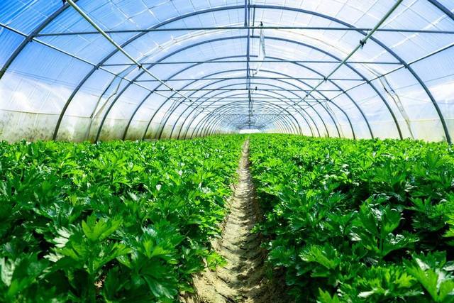 除濕機(jī)—溫室大棚的溫濕控制系統(tǒng) 除濕機(jī)—溫室大棚的溫濕控制系統(tǒng)