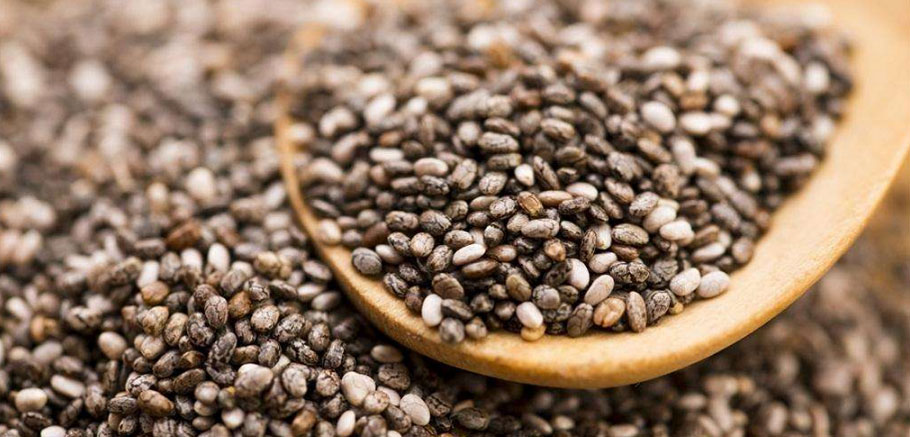 種子干燥和種子存儲的濕度與控制 種子干燥和種子存儲的濕度與控制