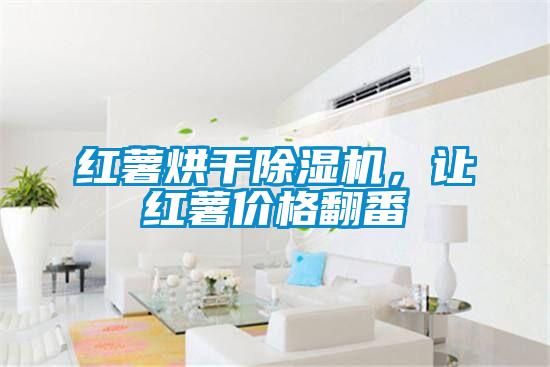 紅薯烘干除濕機，讓紅薯價格翻番