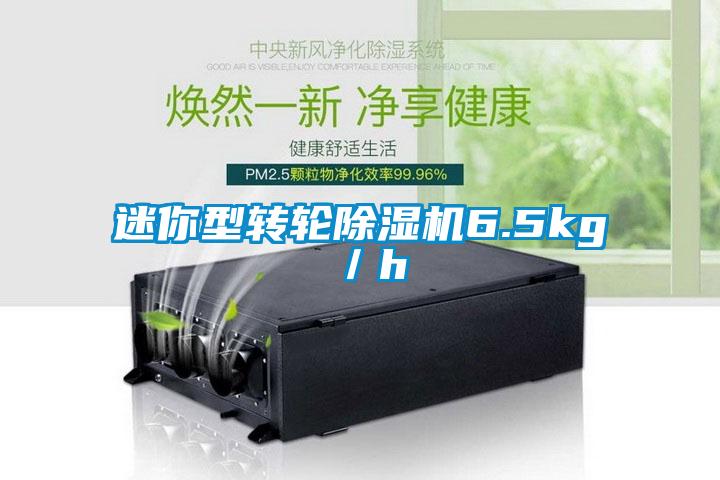 迷你型轉(zhuǎn)輪除濕機6.5kg／h