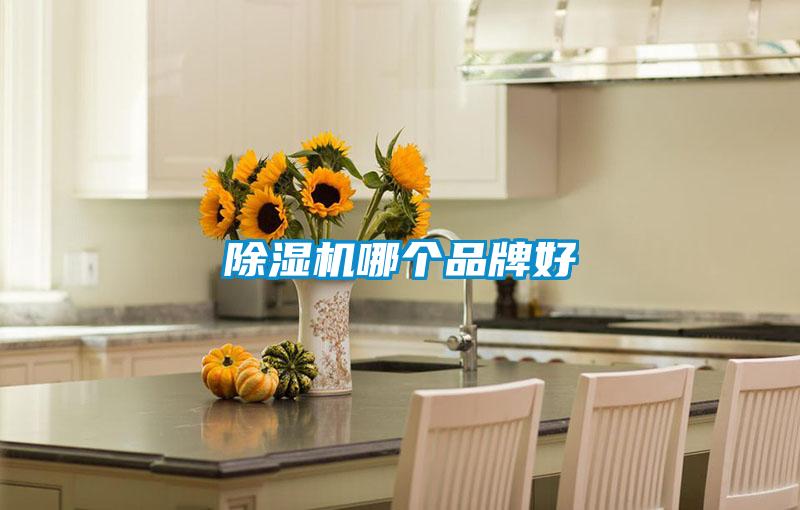 除濕機哪個品牌好