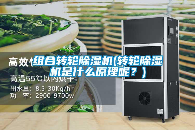 組合轉輪除濕機(轉輪除濕機是什么原理呢？)