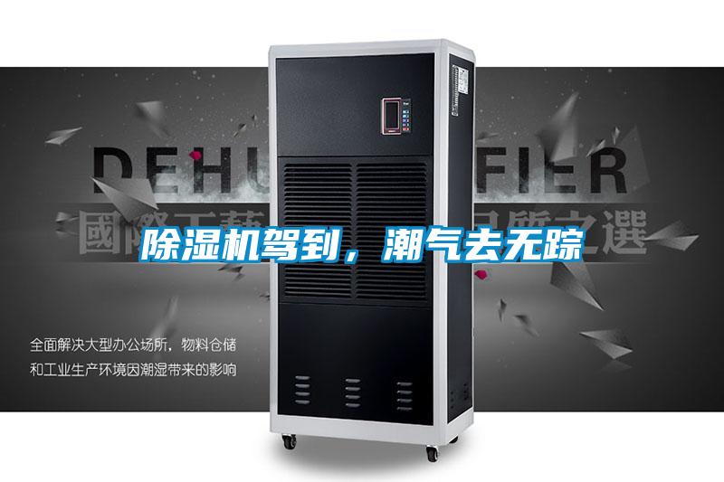 除濕機駕到，潮氣去無蹤