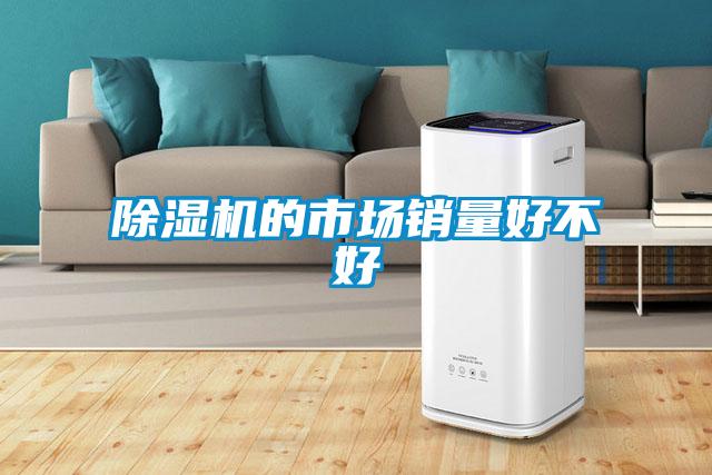 除濕機的市場銷量好不好
