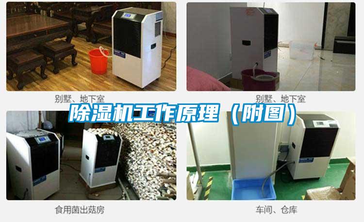 除濕機工作原理(附圖)