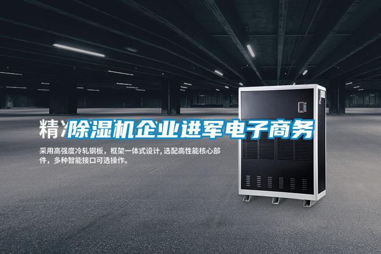 除濕機企業進軍電子商務